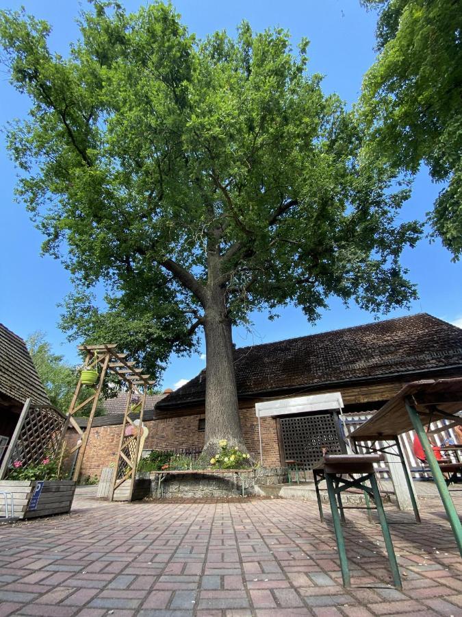 Pension Unter Der 250 Jaehrigen Eiche - Lehde Zentrum Kaupen Dış mekan fotoğraf